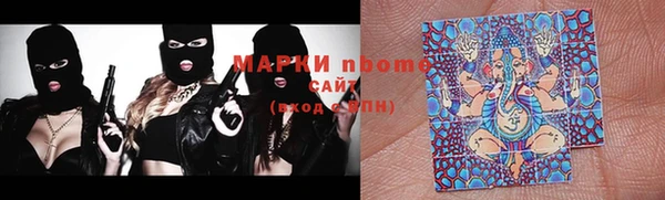 сатива Дмитров