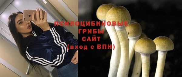 сатива Дмитров