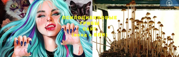 сатива Дмитров