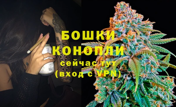 сатива Дмитров